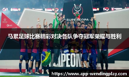 马累足球比赛精彩对决各队争夺冠军荣耀与胜利